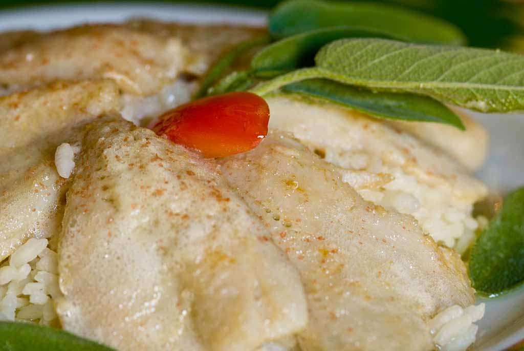 lago-como-prodotti-tipici-risotto-pesce-persico