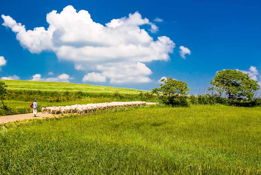 basilicata-campagna-maschito