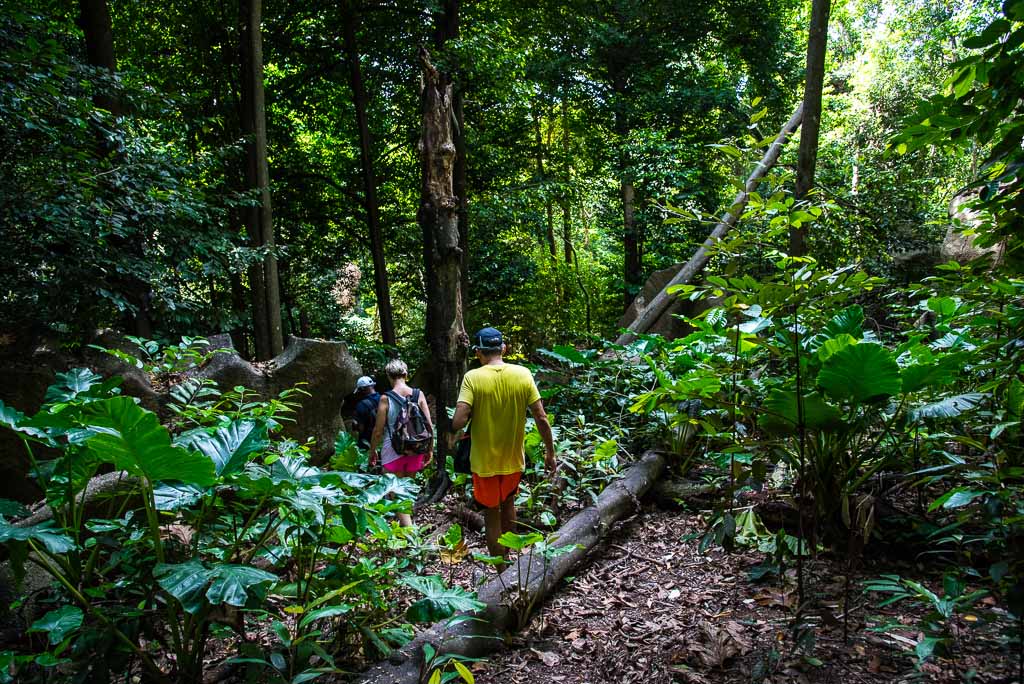 Jungle-trekking-La-Digue-Seychelles