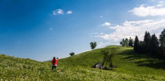 Il salotto della Serenissima ai piedi delle Dolomiti
