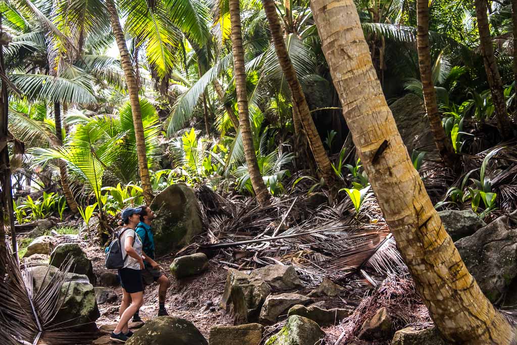 Seychelles-Silhouette -trekking-foresta