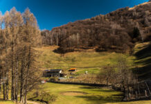 Pasqua: spunti ed idee per una vacanza slow, rurale e gustosa valle-intelvi-agriturismo-radici