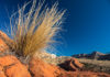 Snow Canyon State Park: vietato trascurarlo!