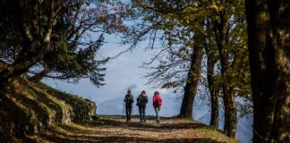 Triangolo Lariano e Valle d’Intelvi: attività outdoor lago-como-triangolo-lariano-piano-rancio-monte-san-primo