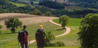 Gli 800 anni di San Francesco: nelle Marche torna il “Cammino dei Cappuccini” Marche-San-Severino-cammino-cappuccini