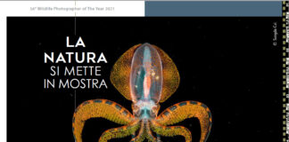 La Natura si mette in Mostra