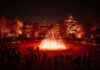Trame di luce all’Orto Botanico di Roma