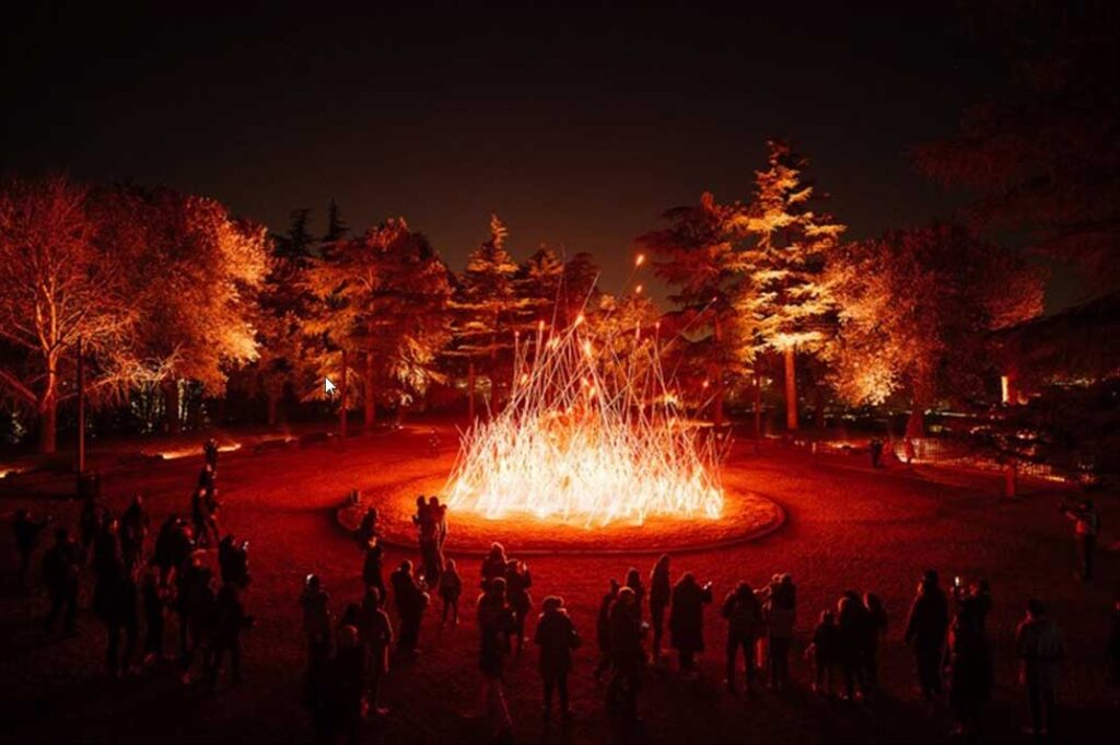 Trame di luce all'Orto Botanico di Roma