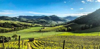 È tempo di enogastronomia alla Tenuta Travaglino