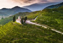 Valdobbiadene territorio UNESCO: tra storia, natura ed enogastronomia
