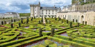 Rifiorire nei giardini dei Castelli della Loira Francia-loira-Castello-Villandry