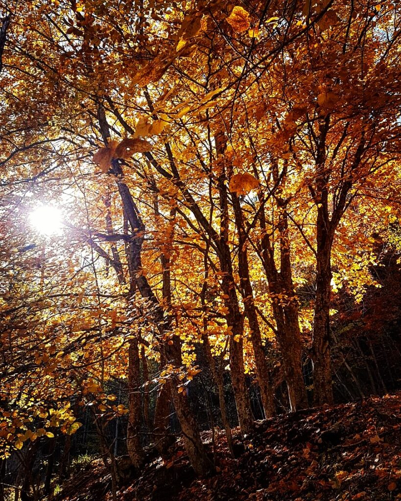 Paesaggi di Villetta Barrea in autunno