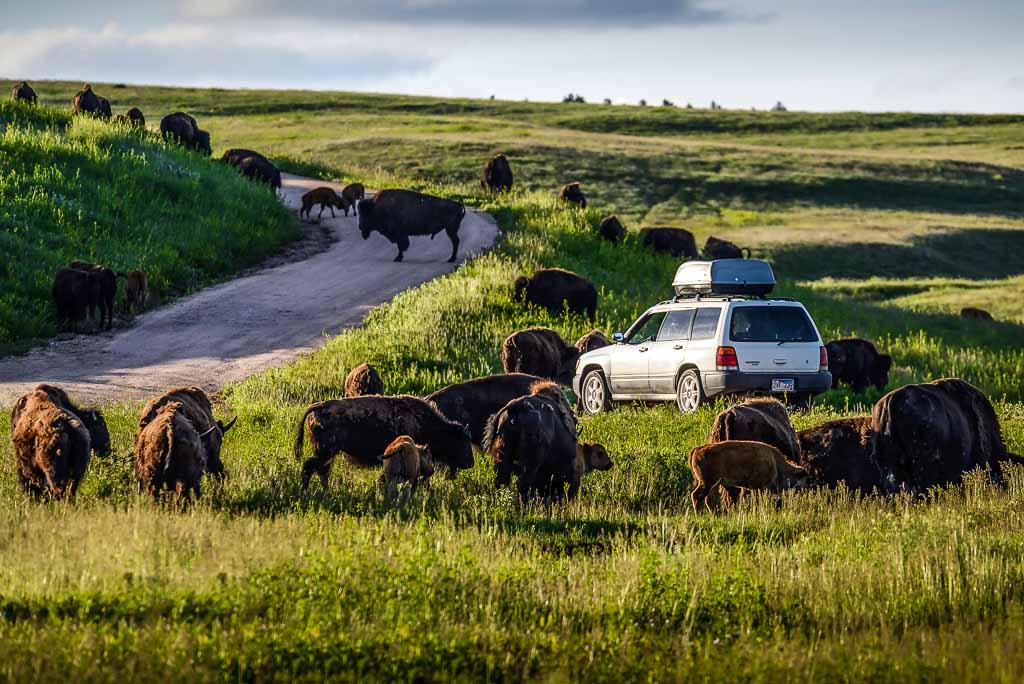 South-Dakota-strada-panoramica