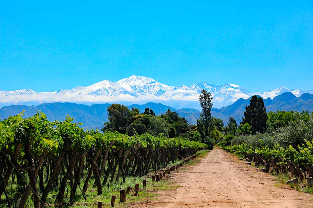 argentina-mendoza-vigneti-malbec