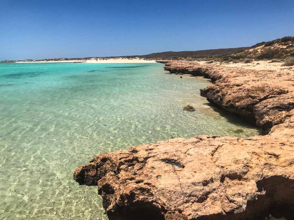 Le acque trasparenti di Shark Bay, Australia occidentale