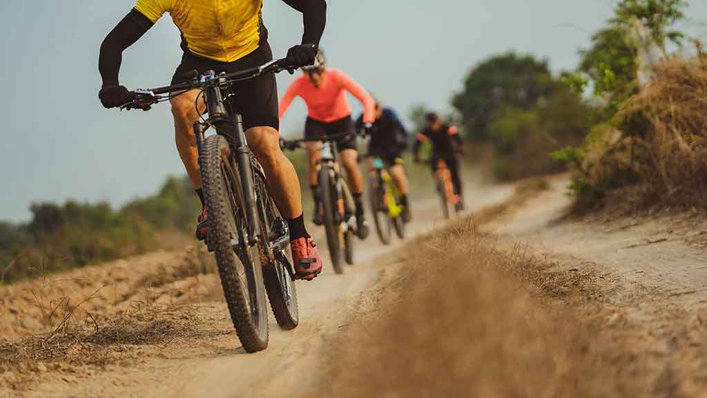 Vivere il parco appieno in bici - @Shutterstock - @TORWAISTUDIO