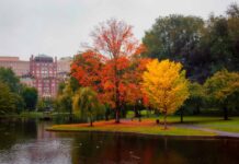 Boston: l’altra rivoluzione Il Boston Common in autunno con la nebbia del mattino