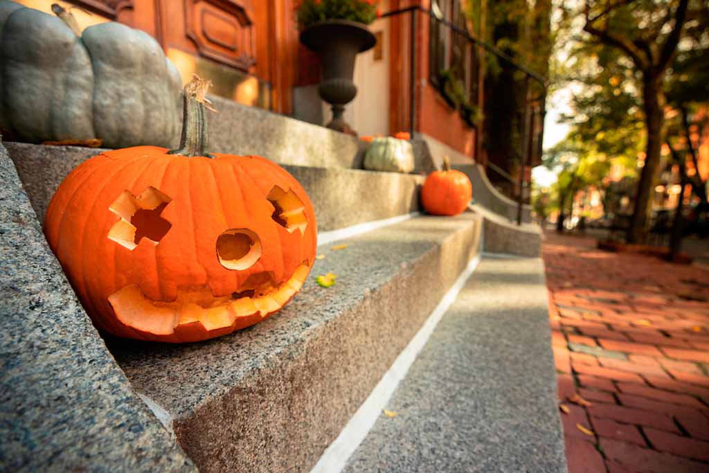 boston-zucca-halloween