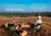 botswana-Tuli-Block-colazione-safari