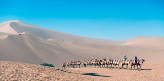 Viaggio sensoriale sulla Via della Seta carovana-via-della-seta-cina