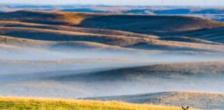 Estate in South Dakota, tra eventi e tradizioni western South-Dakota-strada-panoramica