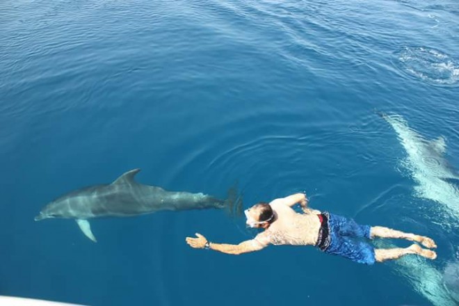 delfini Golfo Aranci