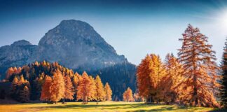 Dolomiti di San Candido: autunno tra natura e benessere dolomiti-san-candido-autunno