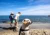 Visitare la Toscana con i bambini: itinerari e idee per famiglie toscana, Isola d'Elba la spiaggia Seccheto con bambini