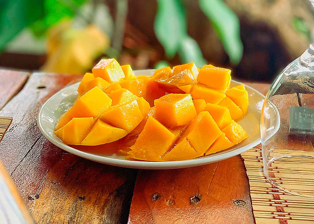 filippine-giumaraes-isola-del-mango