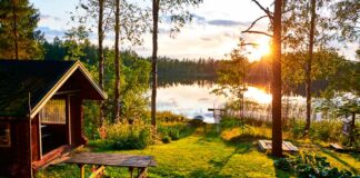 Paesi più felici del mondo: prime posizione tutte nord-europee finlandia-lago-paese-più-felice-al-mondo