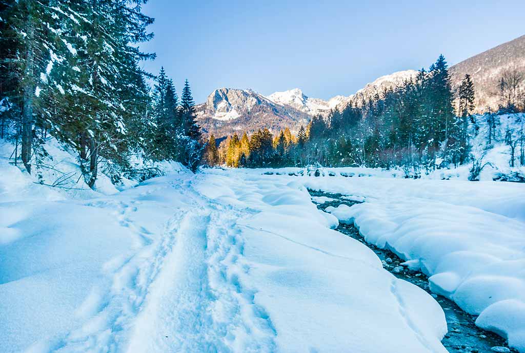 forni-di-sopra-dolomiti-friulane-fiume-tagliamento