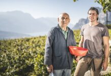 Scoprire i prodotti tipici del Garda Trentino Experience