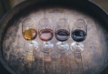 Slow Wine Fair 2023 a BolognaFiere dal 26 al 28 febbraio