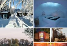 Glamping, anche d’inverno: camping chic, ecosostenibile e riscaldato