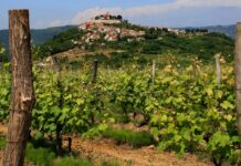 Croazia: golosa fuga d’autunno in Istria