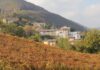 A Serrapetrona va in scena Appassimenti Aperti marche-serrapetrona