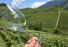 Caneve en Festa e Wine Trekking Gourmet: ottobre a tutto gusto in Val di Cembra