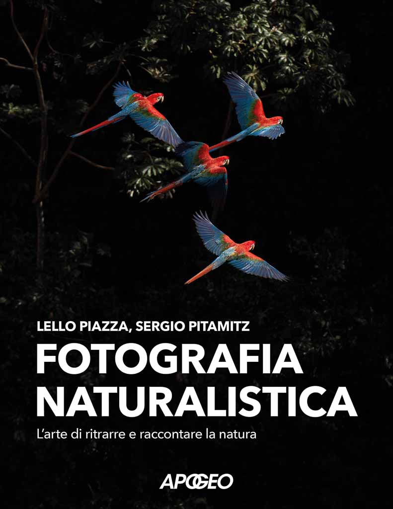 libro-fotografia-naturalistica-piazza-pitamitz