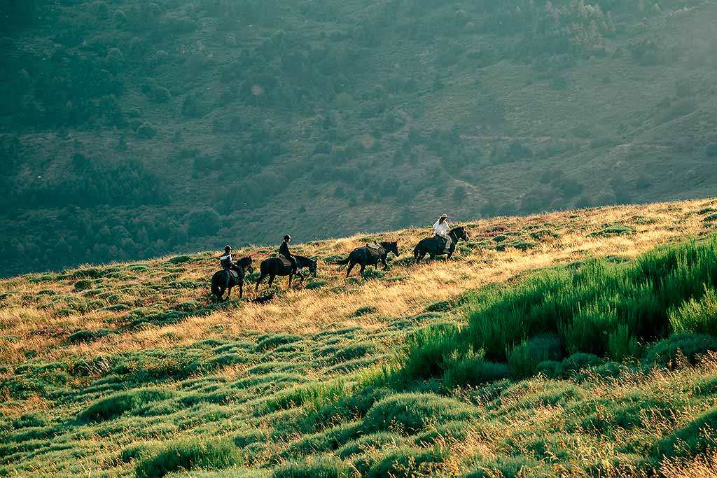 francia-luberon-escursione-cavallo