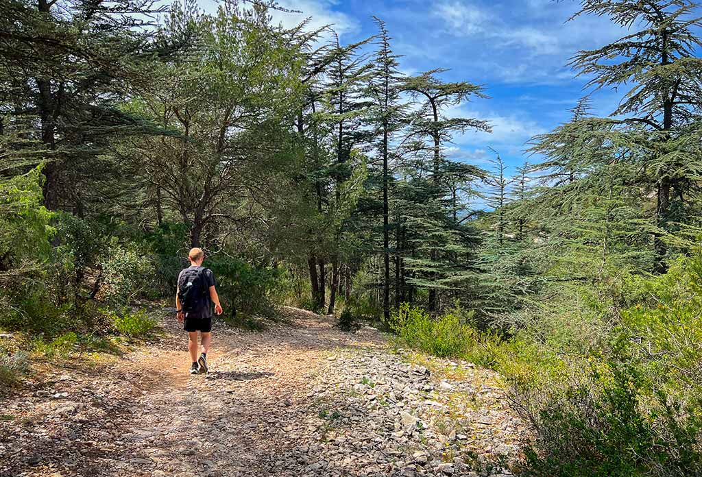 francia-luberon-passeggiate-nella-natura