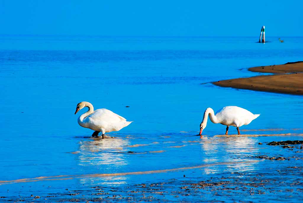 friuli-venezia-giulia-fiume-tagliamento