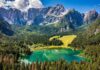 Friuli Venezia Giulia in primavera, tra foreste che curano e montagne in fiore friuli-venezia-giulia-foresta-tarvisio-laghi-fusine