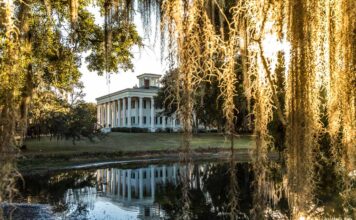 Louisiana, 400 festival e mille emozioni: il viaggio è una festa greenwood-plantation-louisiana
