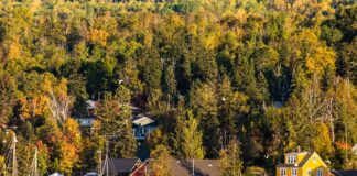 Il grande autunno del Minnesota tra colori e vie d’acqua La cittadina di Grand Marais in autunno sulle rive del Lago Superiore, Minnesota