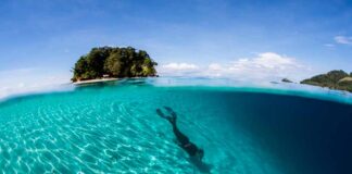 isole-salomone-oceano-pacifico-acqua-cristallina-subacqueo