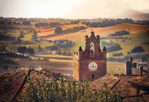 Dalla vigna alla tavola: riparte il Wine Tour delle Marche marche-gradara-panorama-colline