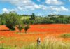 Marche, lungo la strada del miele marche-Urbisaglia-riserva-naturale