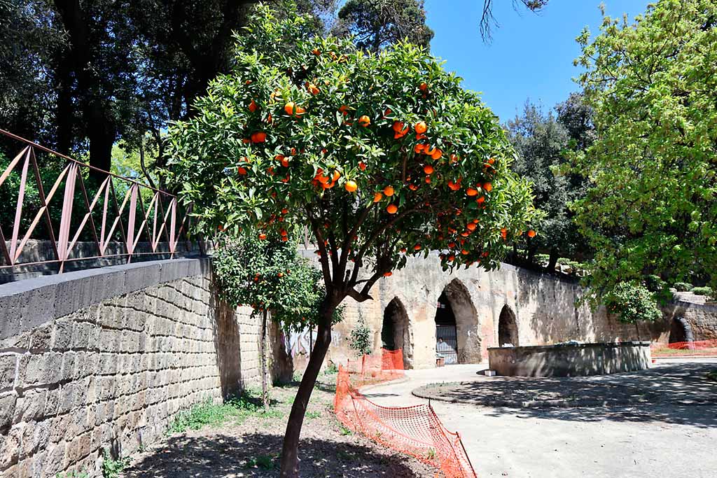 napoli-rotonda-scalinata-capodimonte