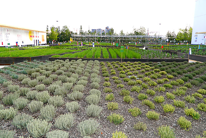 orto planetario