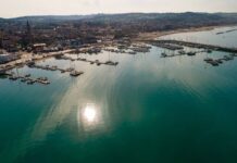 GustaPorto: a Civitanova Marche il mare dà spettacolo